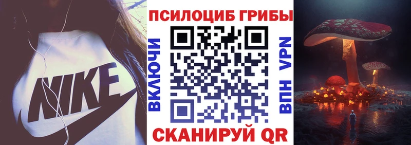 купить Пойковский Псилоцибиновые грибы мицелий